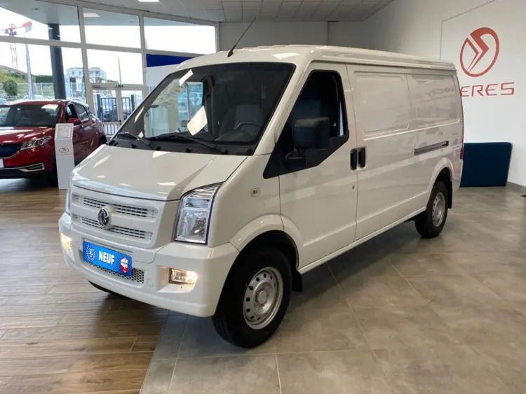 DFSK Eco City 35 VAN 2 Places Caméra 2 Portes Lat. Clim. Bluetooth Hayon Tôlé